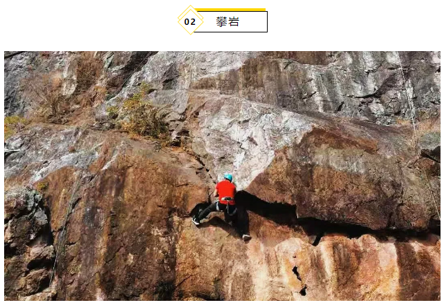 微信圖片_20201117170335 微信圖片_20201117170335